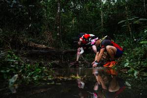 BIB: 
                            <button type="button" onclick="openModal(22480938)" class="btn btn-primary btn-sm float-right btn-popup" data-toggle="modal" data-target=".modal-high-quality">
                        <i class="fas fa-shopping-cart"></i> Add to Cart
                    </button>
                                            <button type="button" onclick="isThisMe(22480938, true)" class="btn btn-success btn-sm float-right btn-popup btn-isme hidden" data-toggle="tooltip" data-placement="bottom" title="นี่คือรูปของคุณใช่ไหม คลิกที่นี่เพื่อเอาเข้าอัลบั้ม">
                        <i class="fas fa-plus"></i> Add to album
                    </button>
                    <button type="button" onclick="isThisMe(22480938, false)" class="btn btn-warning btn-sm float-right btn-popup btn-isnotme hidden">
                        <i class="fas fa-ban"></i> Remove from album
                    </button>